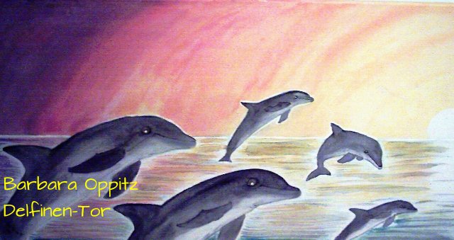 Delfinreise